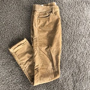 Toad & Co Sybil Slim Cord Pants